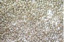 Miyuki Seed Beads Duracoat Galvanized Silver 11/0 - 10gr