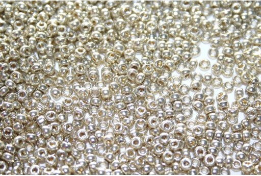 Miyuki Seed Beads Duracoat Galvanized Silver 11/0 - Pack 50gr