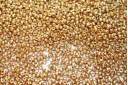 Miyuki Seed Beads Duracoat Galvanized Gold 15/0 - 10gr