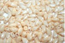 DropDuo® Beads Chalk White Champagne Luster 3x6mm - 50pcs