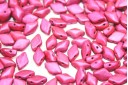 GemDuo Beads Metalust Matte Hot Pink 8x5mm - 10gr