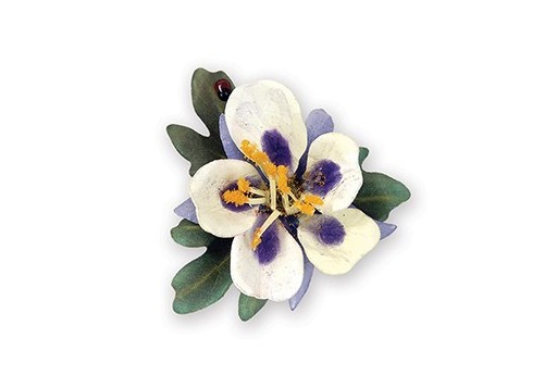 Fustelle Thinlits Fiore Columbine Viola Susan's Garden Sizzix