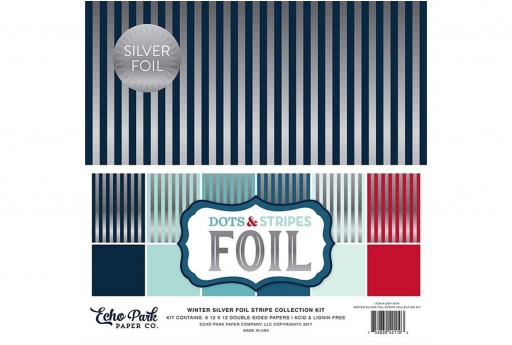 Set di Carte Decorate Winter Silver Foil Stripe Echo Park Paper Co. 30x30cm 6pz