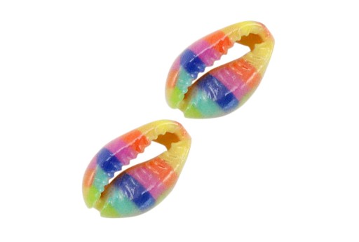 Cowrie Shell - Rainbow 18x12mm aprox. - 2pcs