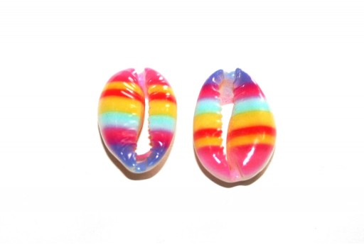 Cowrie Shell - Rainbow 20x13mm aprox. - 4pcs