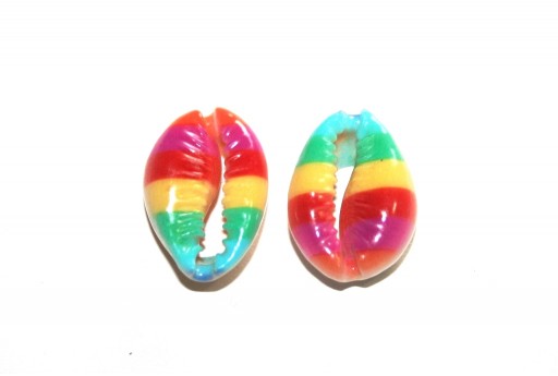 Cowrie Shell - Rainbow 20x14mm aprox. - 4pcs