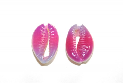 Conchiglia Ciprea  - Fantasia fuchsia circa 20x13mm - 4pz