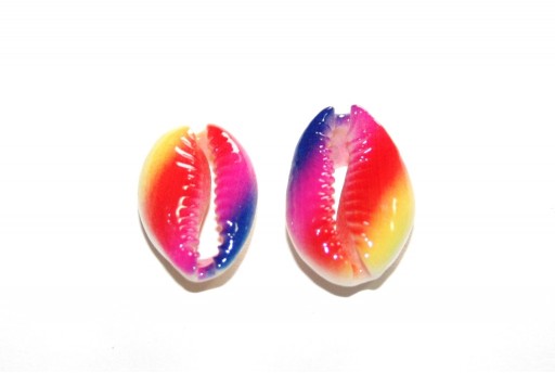 Cowrie Shell - Red Rainbow 20x13mm aprox. - 4pcs