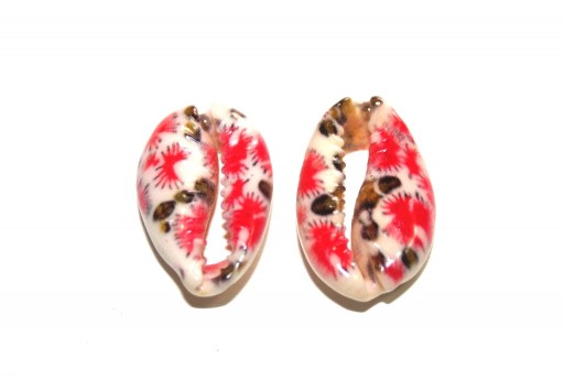 Conchiglia Ciprea - Rosso Marrone circa 20x13mm - 4pz