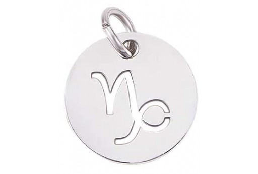 Stainless Steel Zodiac Charms - Capricorn 12mm - 1pc