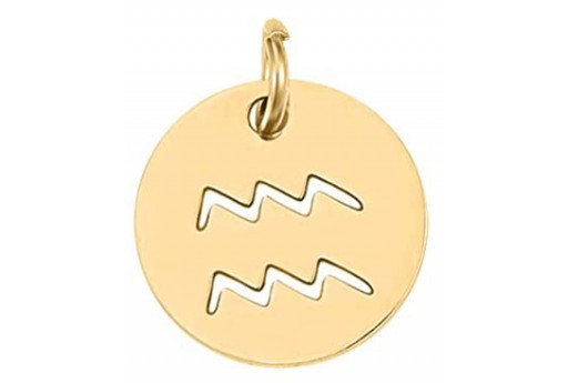 Stainless Steel Zodiac Charms Gold - Aquarius 12mm - 1pc