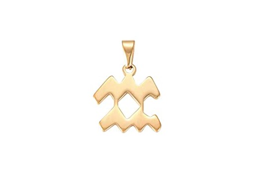 Steel Zodiac Pendant Gold - Aquarius 22x18mm - 1pc