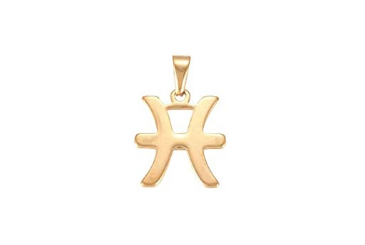 Steel Zodiac Pendant Gold - Pisces 22x18mm - 1pc