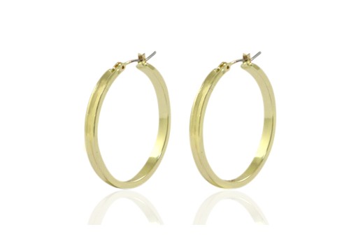 Steel Earring Flat Round - Gold 20X4mm - 2pcs