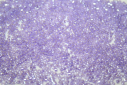 Perline Delica Miyuki Color-Lined Purple/Crystal Luster 11/0 - 8gr