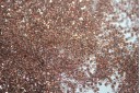 Perline Delica Miyuki Color-Lined Copper/Crystal 11/0 - 8gr