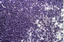Perline Delica Miyuki Galvanized Dyed Metallic Purple 11/0 - 8gr