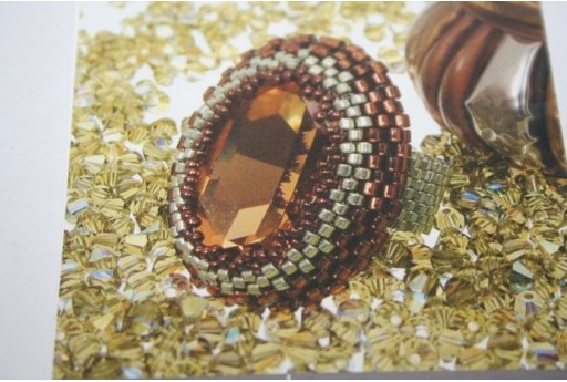 Scheda Progetto Miyuki Anello Luigi XV 2