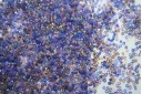 Perline Delica Miyuki Mix Lilacs 11/0 - 8gr