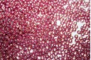 Perline Toho Round Rocailles 8/0, 10gr., Galvanized Pink Lilac Col.PF553