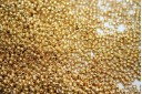 Perline Toho Round Rocailles 11/0, 10gr. Galvanized Starlight Col.PF557