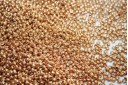 Perline Toho Round Rocailles 11/0, 10gr. Galvanized Rose Gold Col.PF551