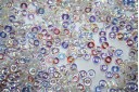 5gr Perline O Bead 1x3,8mm Crystal Col.00030