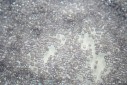 Perline Delica Miyuki Lined Pale Laven AB 11/0 - 8gr