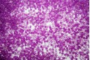 8gr. Perline Delica Miyuki 11/0 Lined Pale Lilac AB Col.072